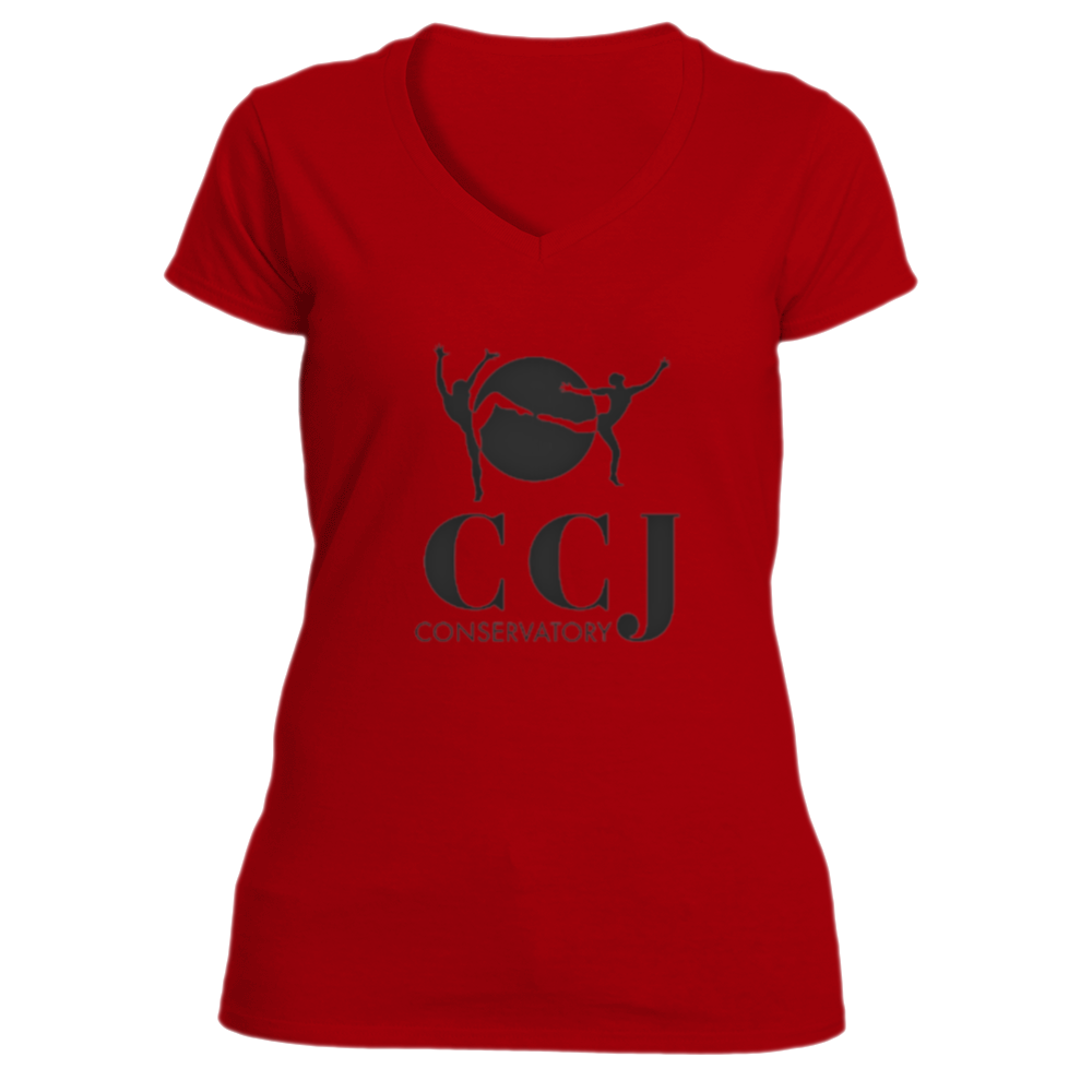Fitted V-Neck T-Shirt